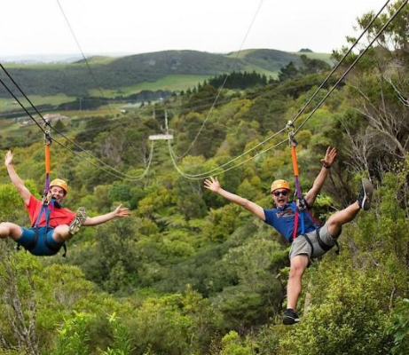 Private Booking - Ziplining & Forest Walk Tour - Photo 1 of 3